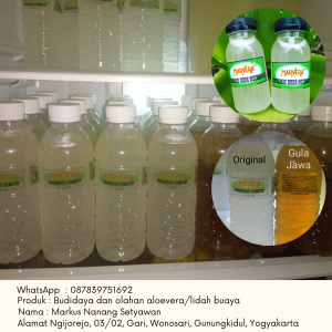 Produk Olahan Lidah Buaya